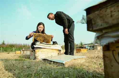 周世红与汉中的养蜂大户易天明交流养蜂技术